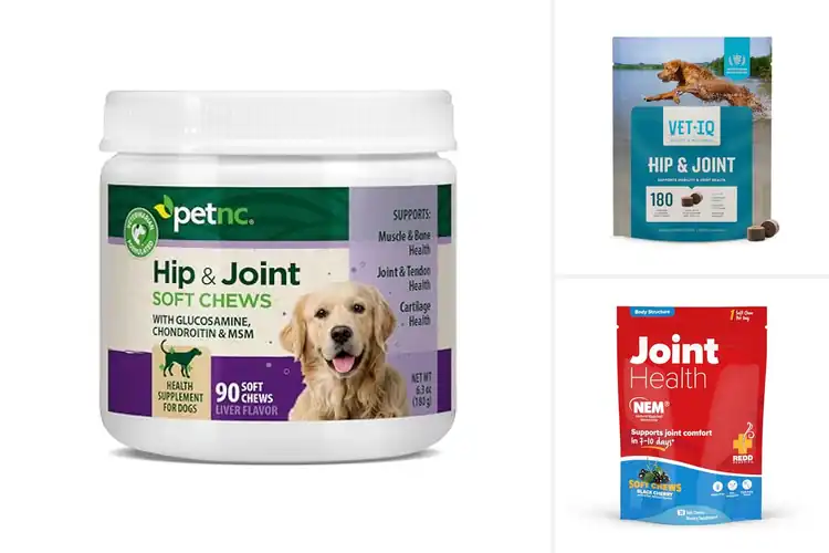 Detailed view of Best Joint Health Chews for Pets
