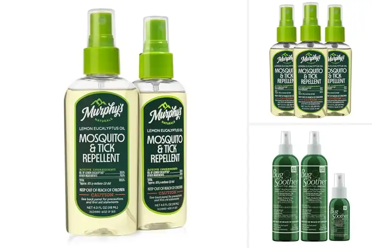 Detailed view of Best All-Natural Bug Sprays