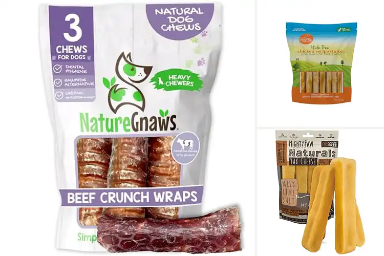 Detailed view of Best All-Natural Chews: 10 Healthy Treats for Happy Dogs