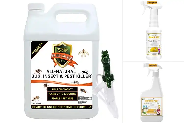 Detailed view of Best Ant And Mite Elimination Products