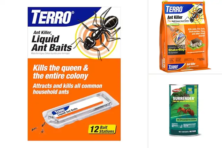 Detailed view of Best Ant Control Solutions