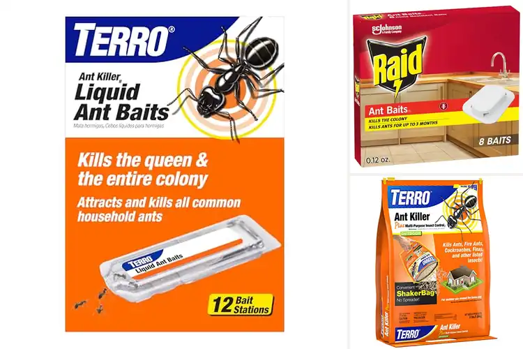 Detailed view of Best Ant Killers: Top 10 Solutions for a Pest-Free Home
