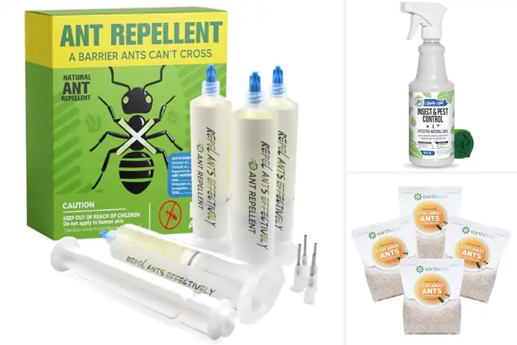 Detailed view of Best Ant Repellents