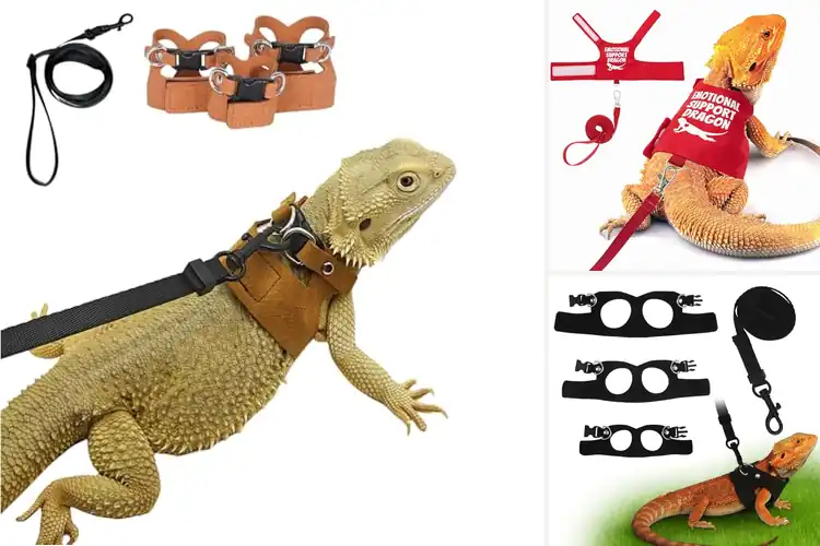 Detailed view of Best Bearded Dragon Harnesses