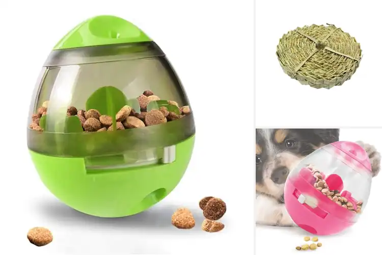 Detailed view of Best Boredom Buster Chews: 5 Top Picks for Happy Pets