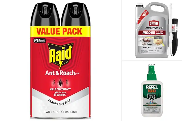 Detailed view of Best Bug Sprays: Fast, Effective Protection for Your Home