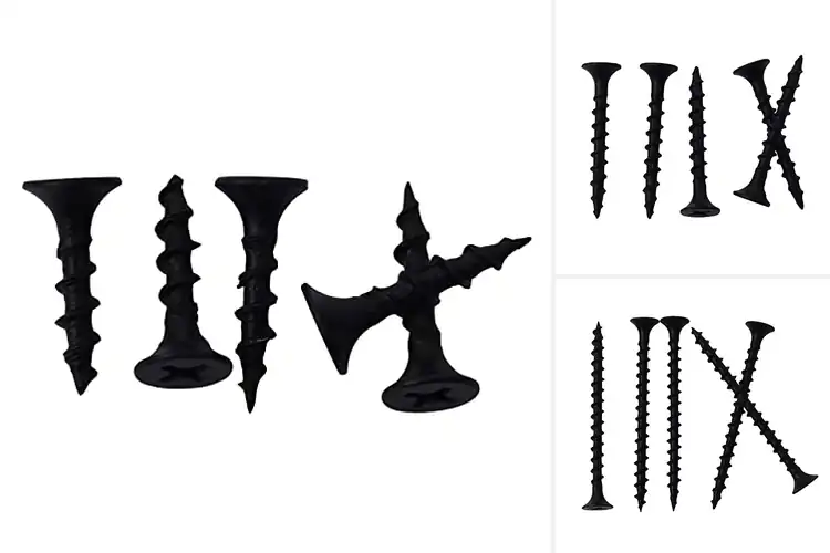 Detailed view of Best Bugle Head Screws