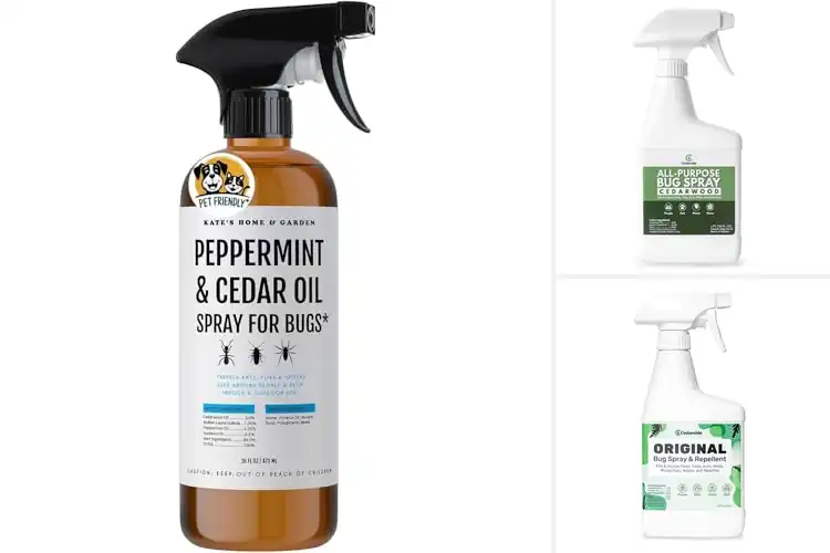 Detailed view of Best Cedar Oil-Based Bug Sprays