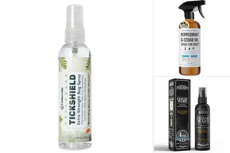 Detailed view of Best Cedar Oil Based Insect Sprays