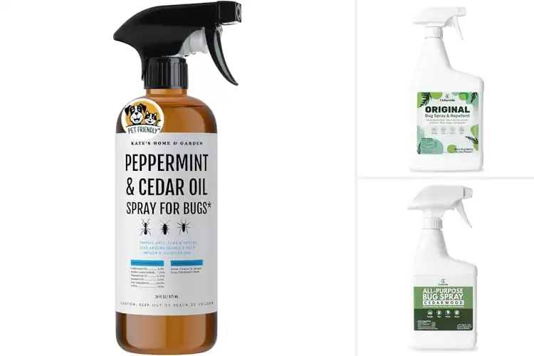Detailed view of Best Cedar Oil Bug Sprays