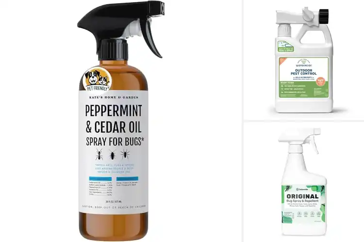 Detailed view of Best Cedar Oil Insect Repellent