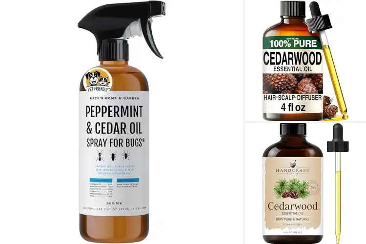 Detailed view of Best Cedar Oil Repellents: Fresh, Protected Spaces Made Easy