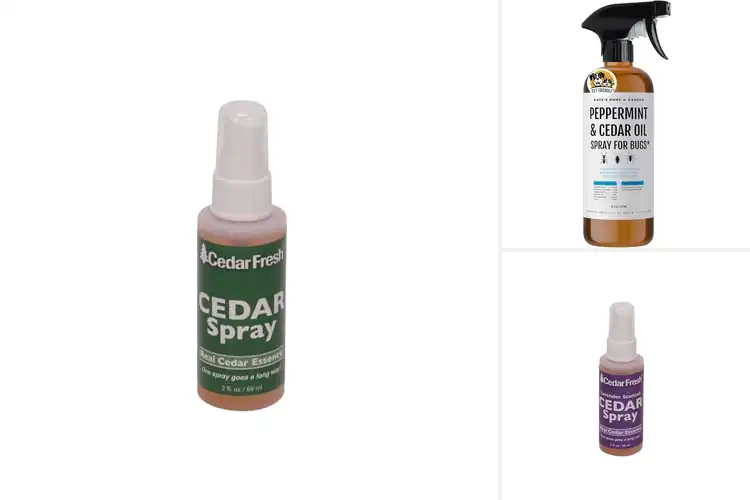 Detailed view of Best Cedar Oil Sprays