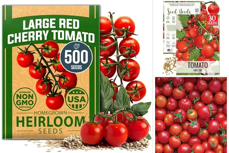 Detailed view of Best Cherry Tomato Seeds