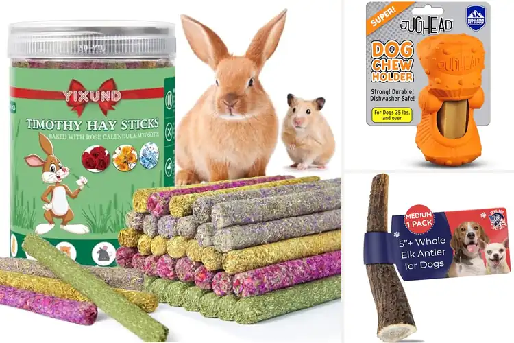 Detailed view of Best Chews for Boredom: Happy, Healthy Pets