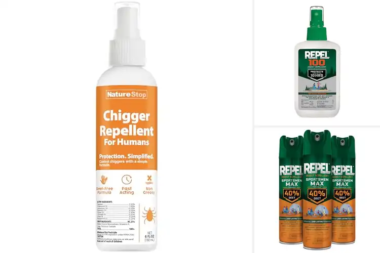 Detailed view of Best Chigger Repellents: Top 10 to Stay Itch-Free Outdoors