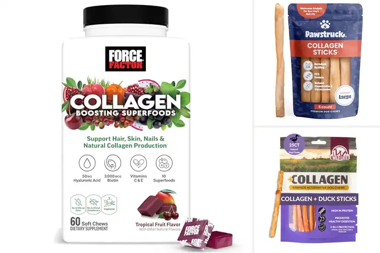 Detailed view of Best Collagen Chews