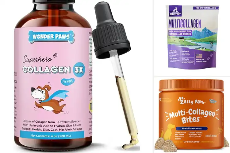 Detailed view of Best Collagen Dog Supplements