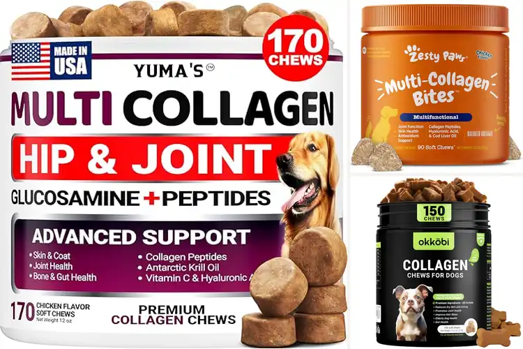 Detailed view of Best Collagen Rich Chews For Joint Support