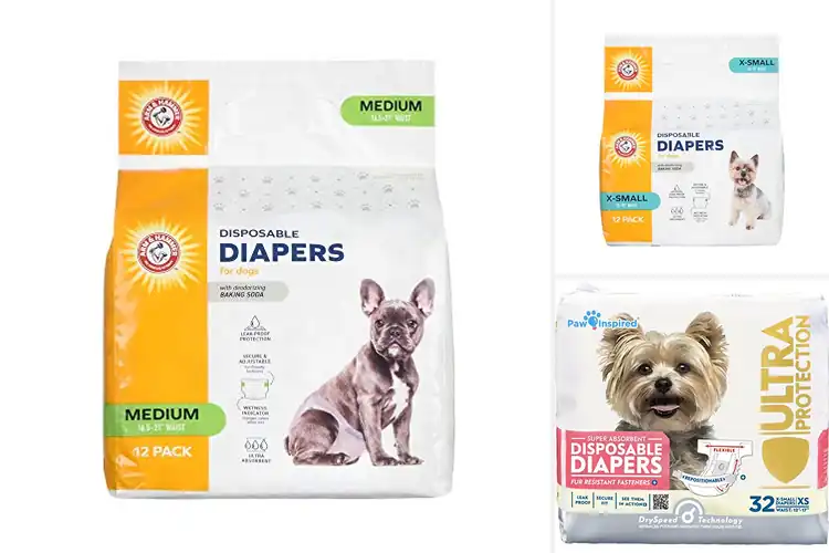 Detailed view of Best Daily Use Female Dog Diapers