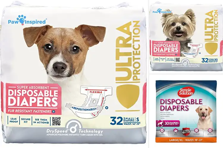 Detailed view of Best Disposable Dog Diapers For Female Dogs