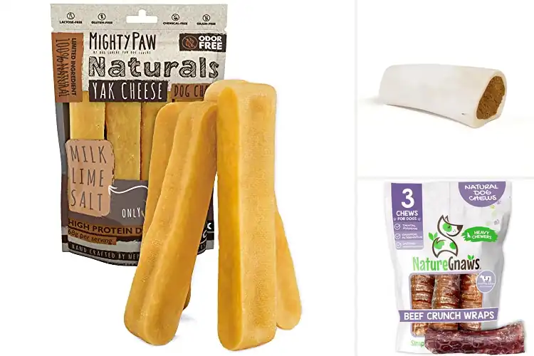 Detailed view of Best Durable Dog Chews for Happy, Long‑Lasting Play