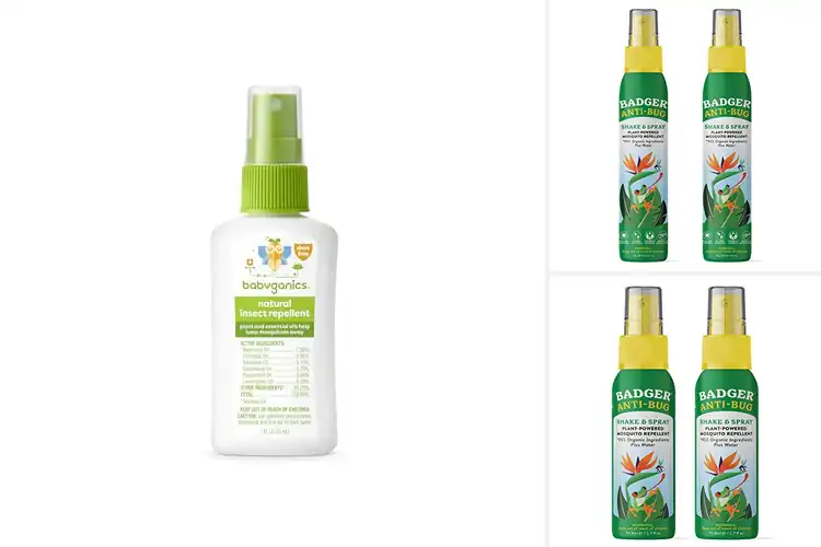 Detailed view of Best Eco-Friendly Bug Sprays: Safe, Natural Pest Protection