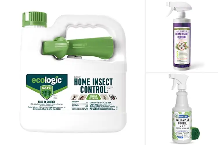 Detailed view of Best Eco Friendly Insect Control