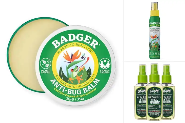 Detailed view of Best Eco-Friendly Mosquito Repellents