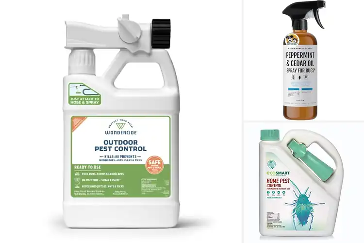 Detailed view of Best Eco-Friendly Pest Control
