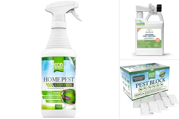 Detailed view of Best Eco-Friendly Pest Controls