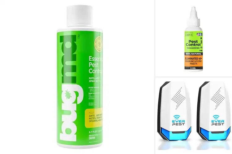 Detailed view of Best Eco Friendly Pest Solution: 10 Safe & Effective Options