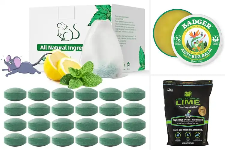 Detailed view of Best Eco-Friendly Repellents: Top 10 Natural Pest Solutions