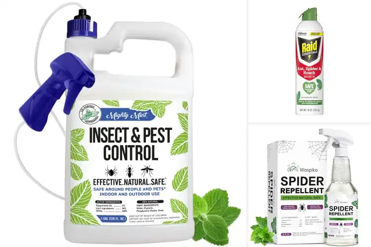 Detailed view of Best Family Safe Bug Killers for a Peaceful Home