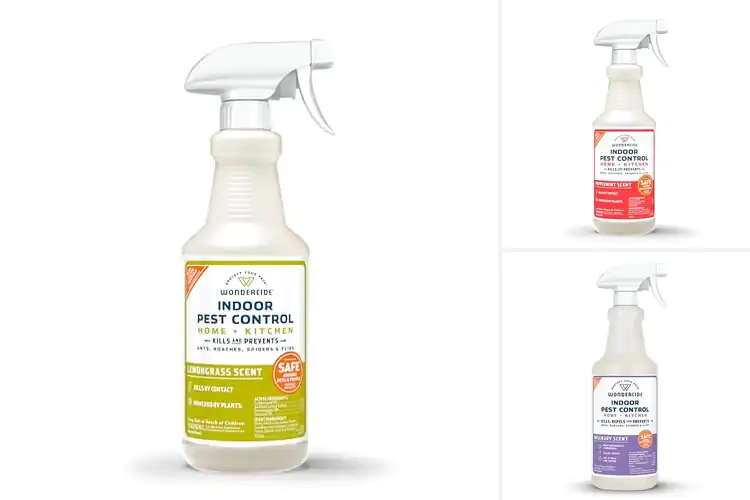 Detailed view of Best Family-Safe Insecticides