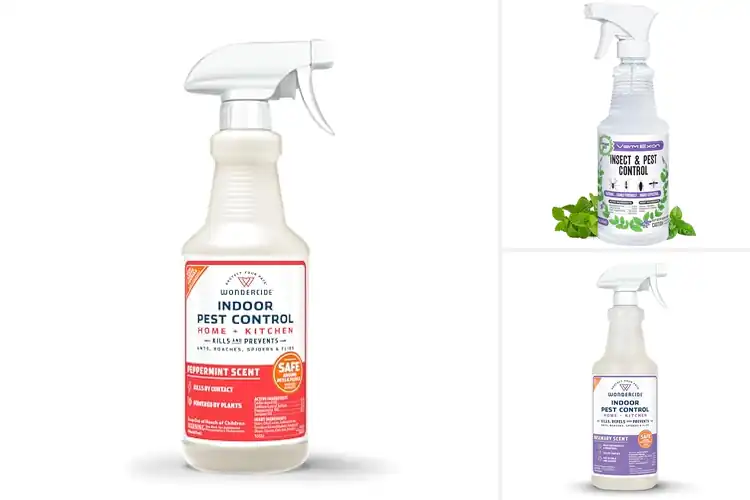 Detailed view of Best Family Safe Pest Spray