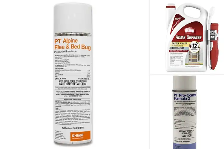Detailed view of Best Fast Acting Bug Killer