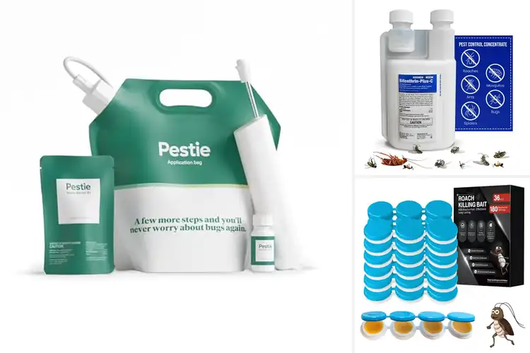 Detailed view of Best Fast-Acting Pest Control Solutions