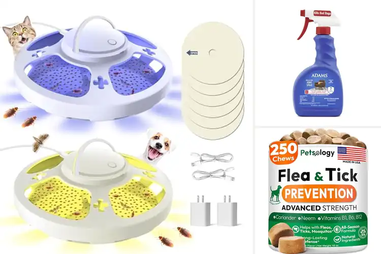 Detailed view of Best Flea Control Products