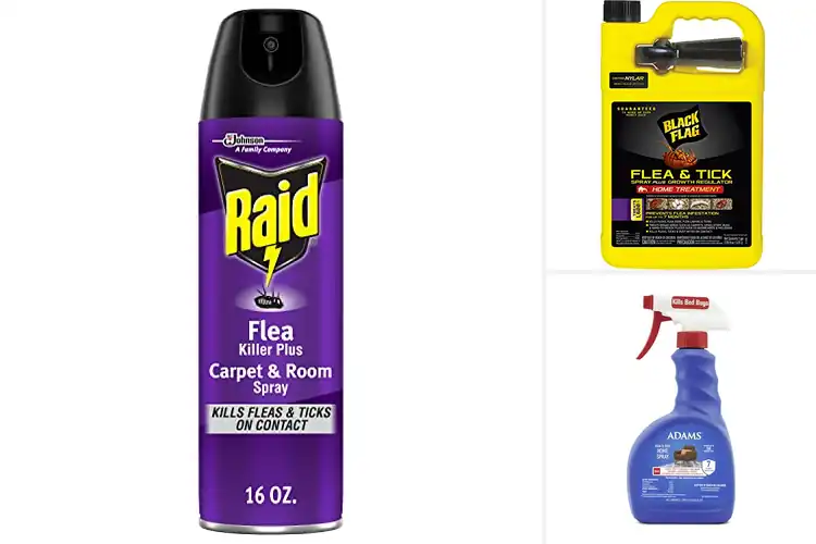 Detailed view of Best Flea Killers – Fast, Lasting Relief for Your Home