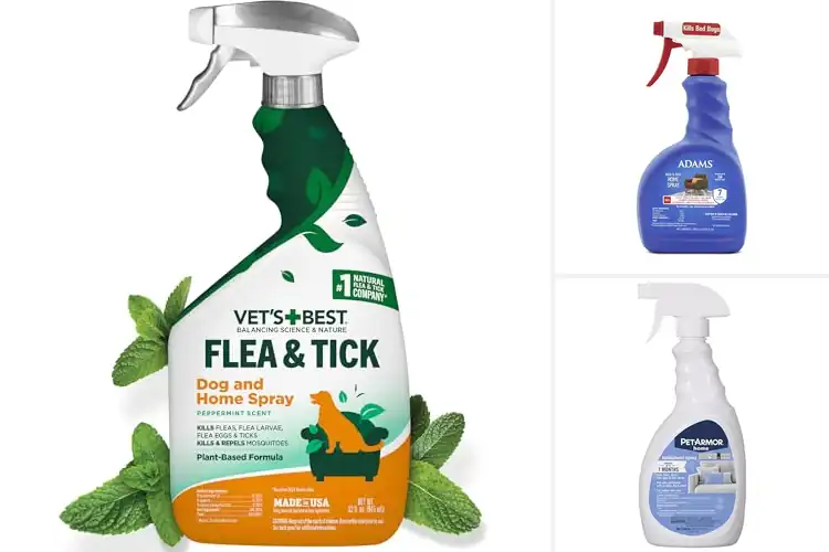 Detailed view of Best Flea Sprays For Homes And Pets
