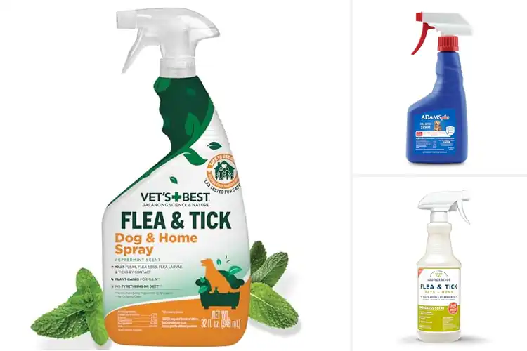 Detailed view of Best Flea Sprays For Pets: Top 10 Safe & Effective Solutions