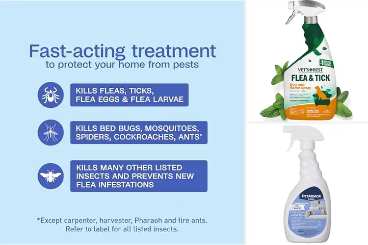 Detailed view of Best Flea Sprays: Fast & Safe Solutions for a Pest-Free Home