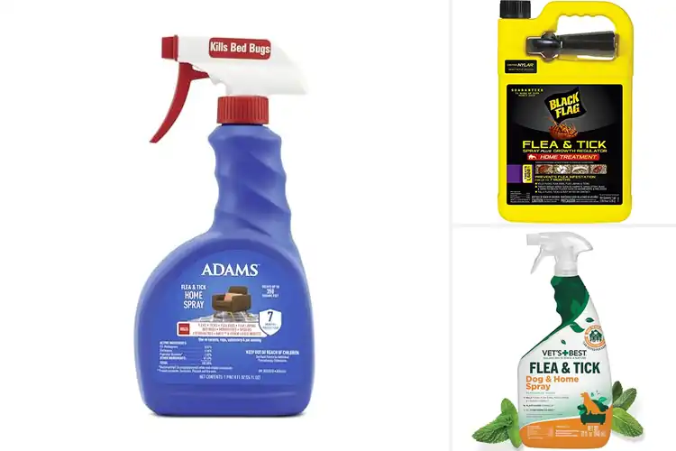 Detailed view of Best Flea Treatments for Home