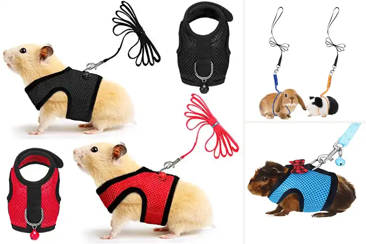 Detailed view of Best Guinea Pig Harnesses: Top 10 Picks for Safe Adventures