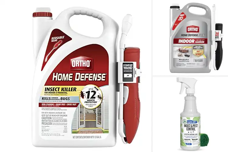 Detailed view of Best Home Insect Sprays