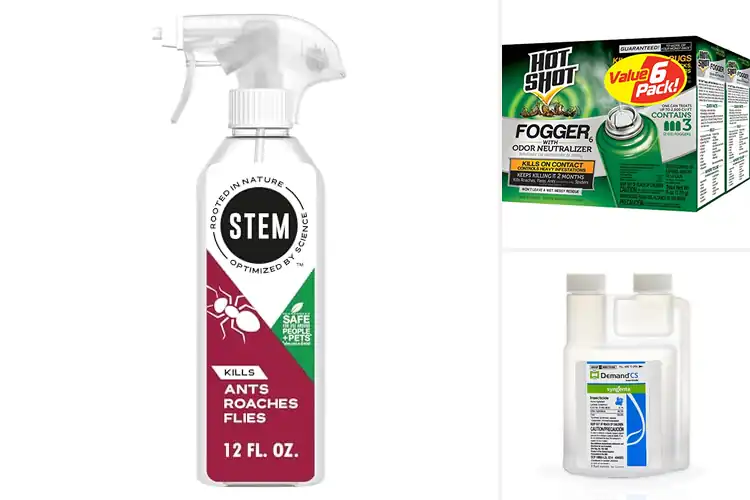 Detailed view of Best Home Insecticides
