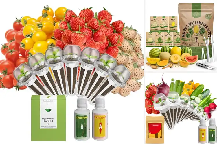 Detailed view of Best Hydroponic Fruit Seeds