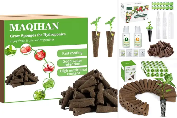 Detailed view of Best Hydroponic Seed Pods: Grow Effortlessly