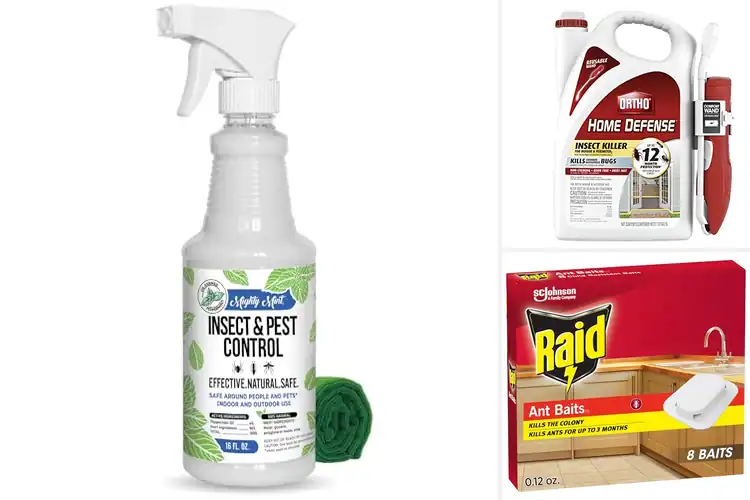 Detailed view of Best Indoor Ant Repellents